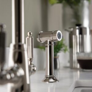 Fenton Hand-Spray Polished Nickel - Abode